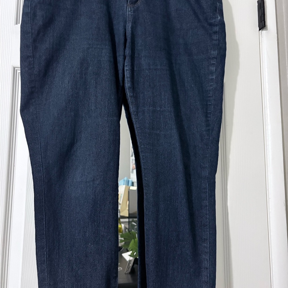 Curvy Skinny Blue Jeans